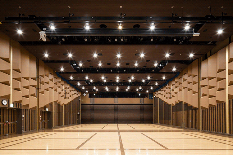 场馆座椅电动伸缩看台座椅观众席手动移动剧场场馆连排椅厂家 电动