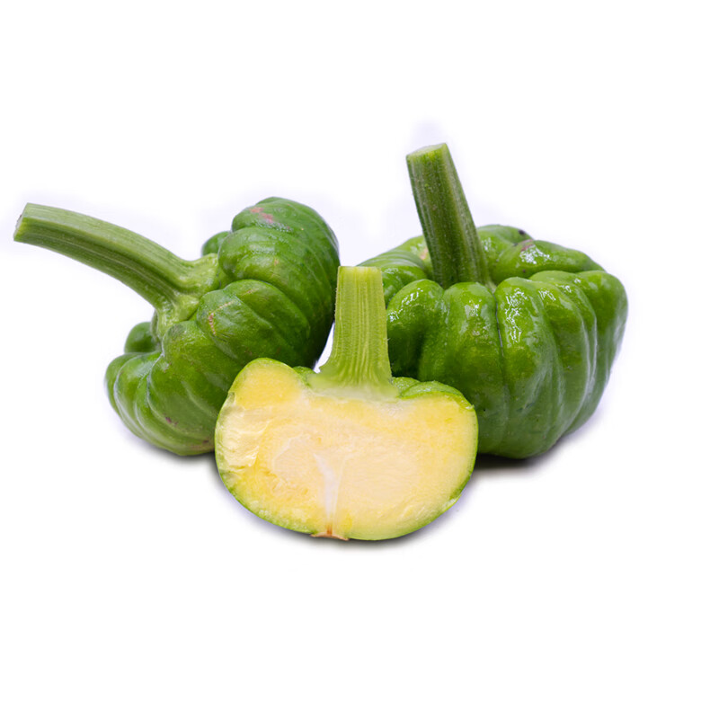 晨臻 云南新鲜姜柄瓜 小麦瓜小瓜姜饼瓜新鲜蔬菜嫩南瓜甜瓜小绿瓜