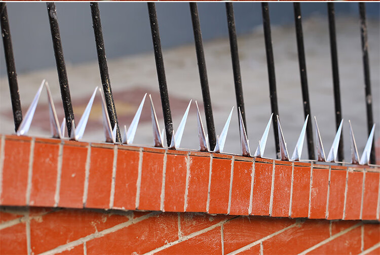 安防防攀爬刺刺钉阻爬刺防盗刺铁刺钉小区刺网围墙防盗防爬刺热镀锌