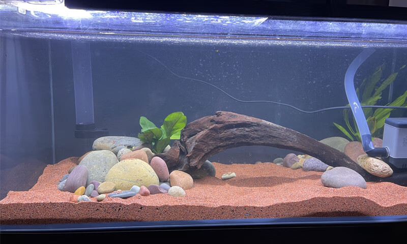 热带鼠鱼沙鱼缸底砂造景沙埃及七彩雷龙化妆沙太行红中国红中国红35