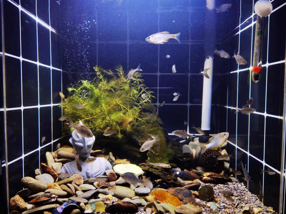 迪迦奥特曼鱼缸装饰造景大号摆件水族箱草缸沉底微景观水泥创意