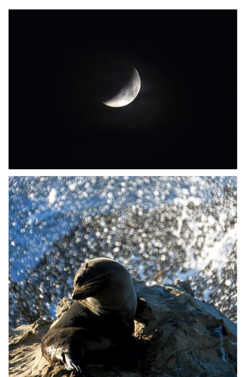 400mm 折返镜头 f8 nii 甜甜圈 适用尼康佳能索尼等相机 远摄 折返