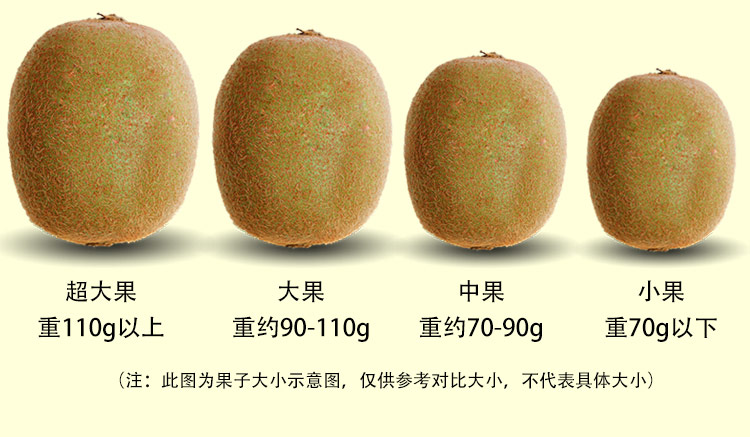 岐优【削皮即食】陕西眉县徐香猕猴桃奇异果新鲜水果礼盒 12颗中小果