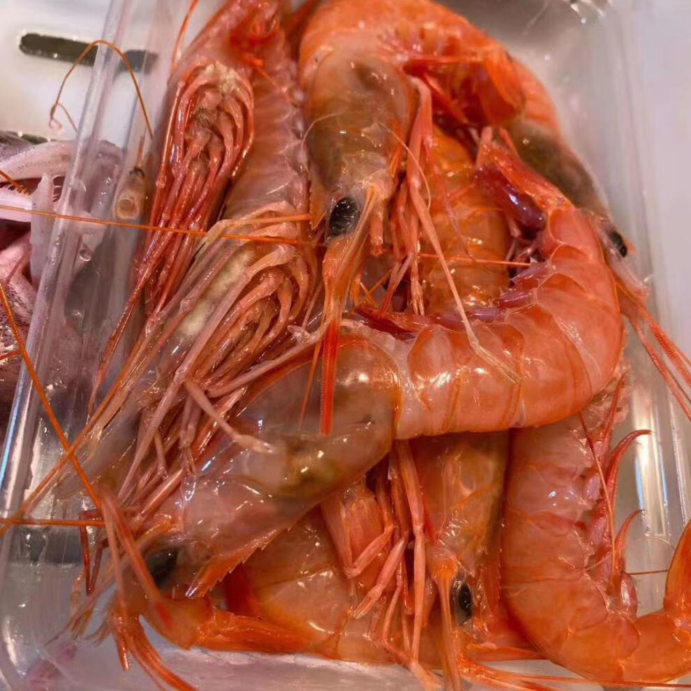 舟山特产新鲜红虾鲜活船冻野生大红虾可生吃渝珍小红虾2斤每斤约70只