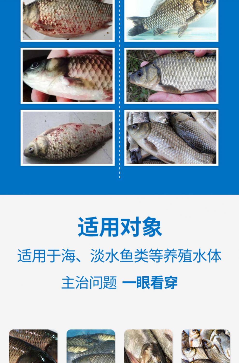锚头鳋专用药锚头蚤克星鱼药鱼塘寄生虫水产养殖鱼塘鱼池寄生虫病 1瓶