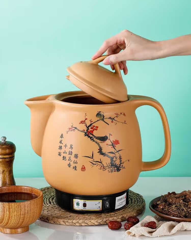 康淄轩 药煲中药瓦煲 中药煎锅 药罐子全自动中药壶煎药壶家用药罐插