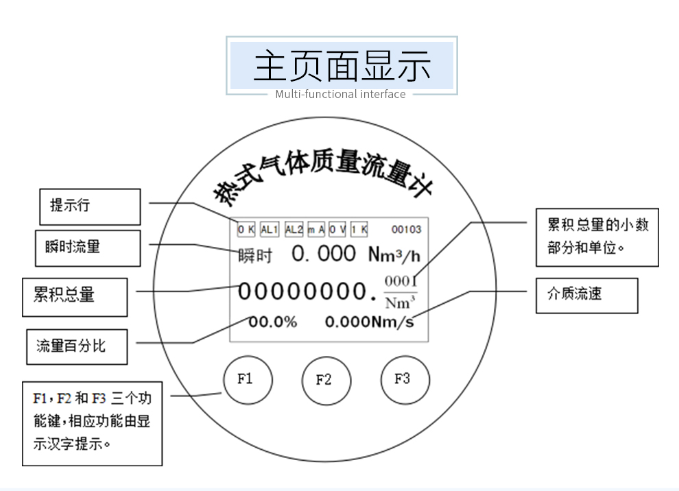 熱式氣體質量流量計微小流量測量插入式管道式壓縮空氣二氧化碳氣體