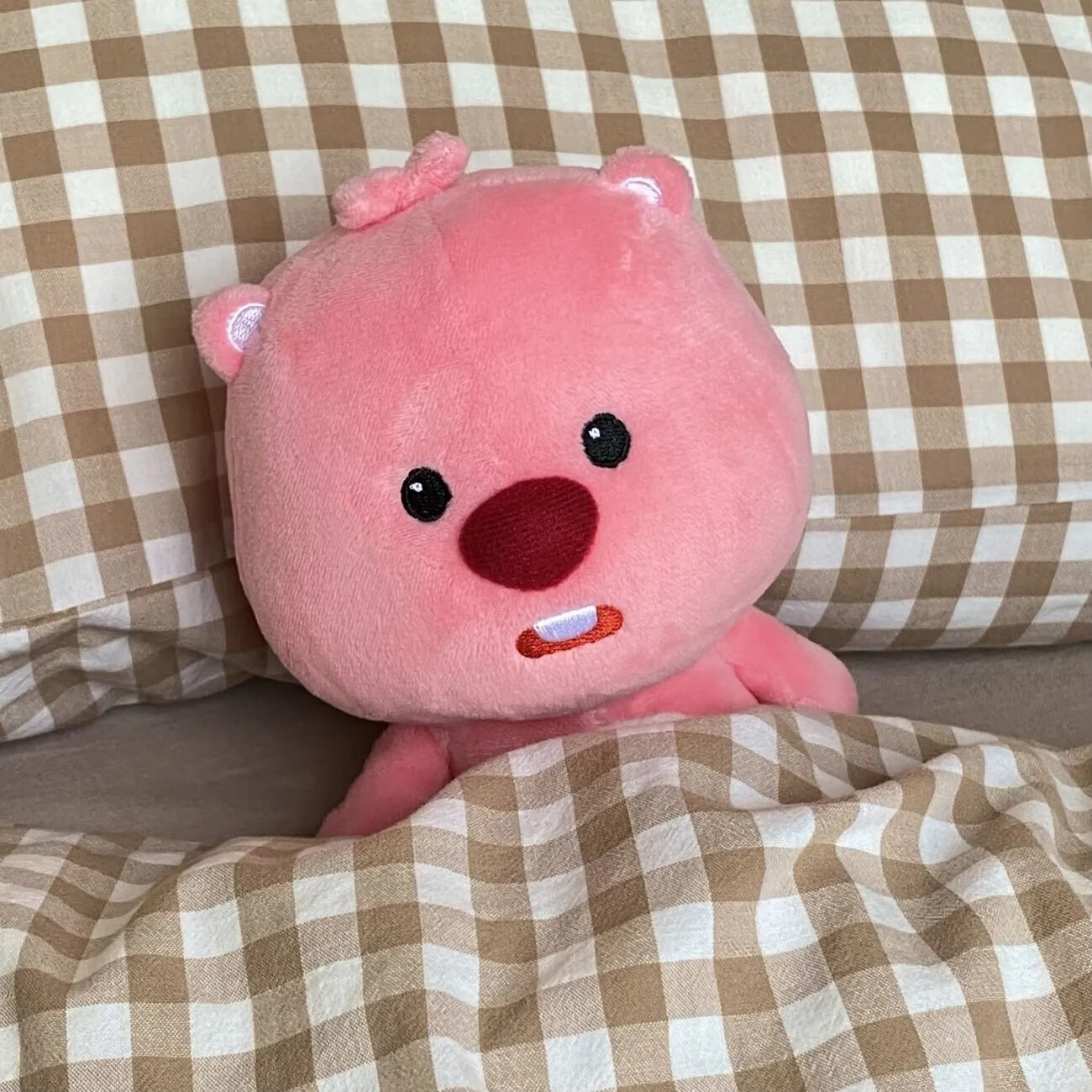 萨默斯loopy玩偶 韩国粉红小海狸loopy玩偶露比鲷鱼烧头套公仔可爱