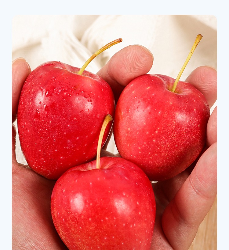 萃俪 东北特产鸡心果小苹果脆甜锦绣海棠新鲜孕妇水果 顺丰速运 鸡心
