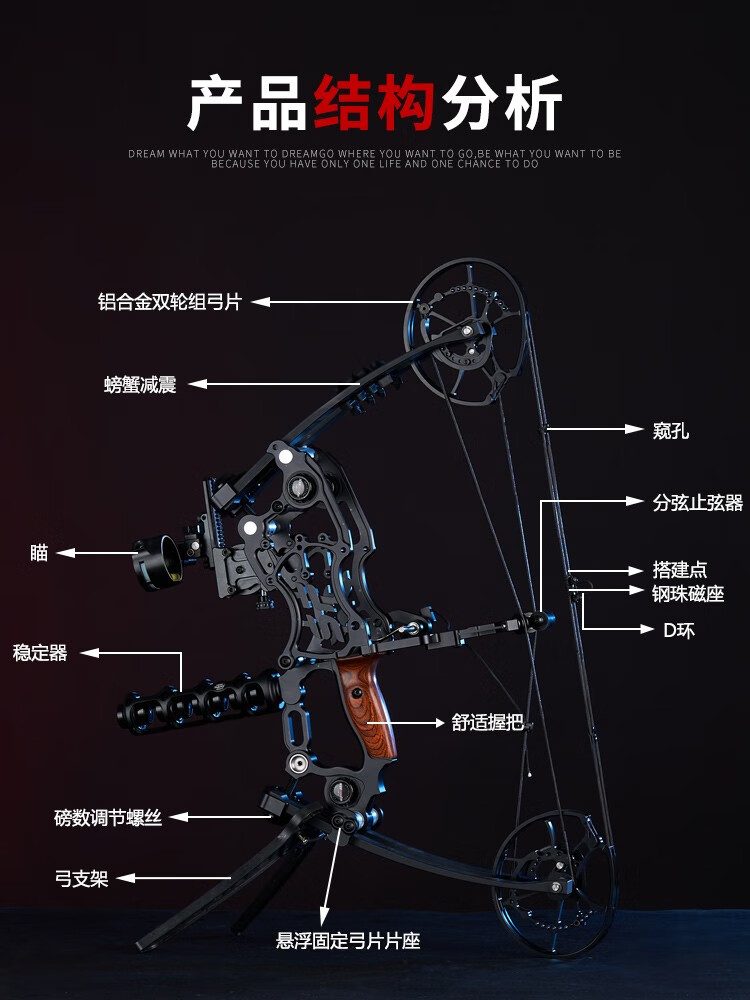 两用弓到底准不准