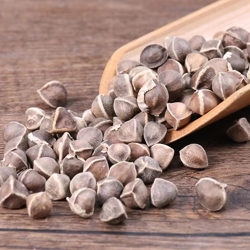 云南野生中药材辣木籽中草药精选特级天然大颗食用辣木子 2000g【图片