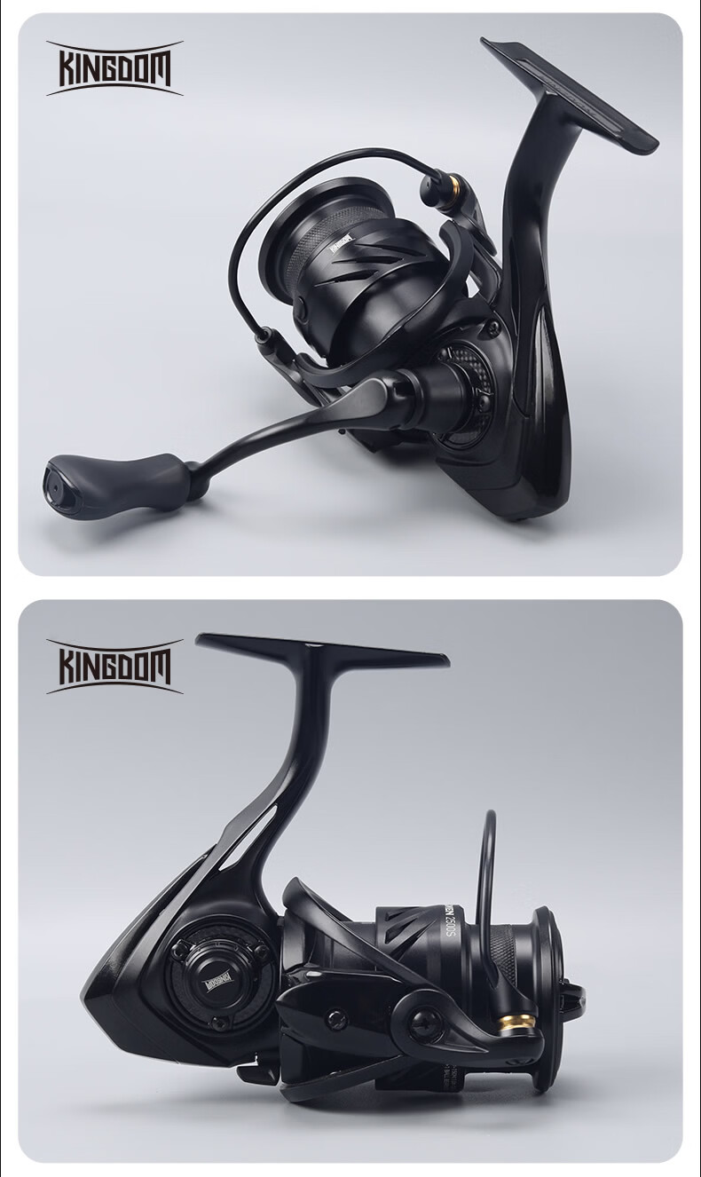 Guowangluya Spinning Reel, King Tai Ge Man Carbon Long-Casting Reel, Ultra-Light Diagonal Mouth Shallow Line Cup Lure Reel, Fishing Line Reel, 2500SHG 16