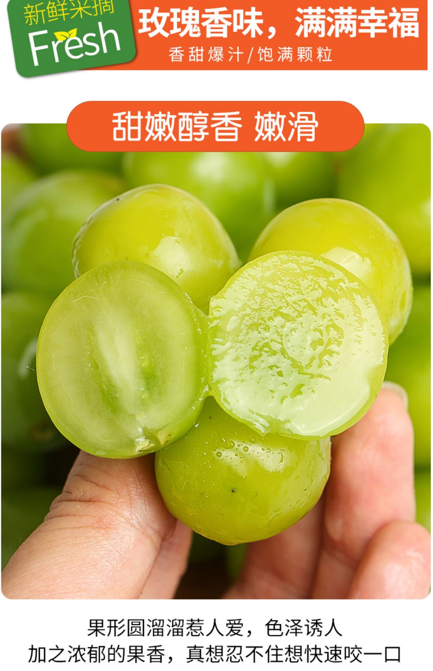 媚调 阳光玫瑰葡萄5斤当季水果新鲜整箱晴王葡萄香印青提无籽5提子 3