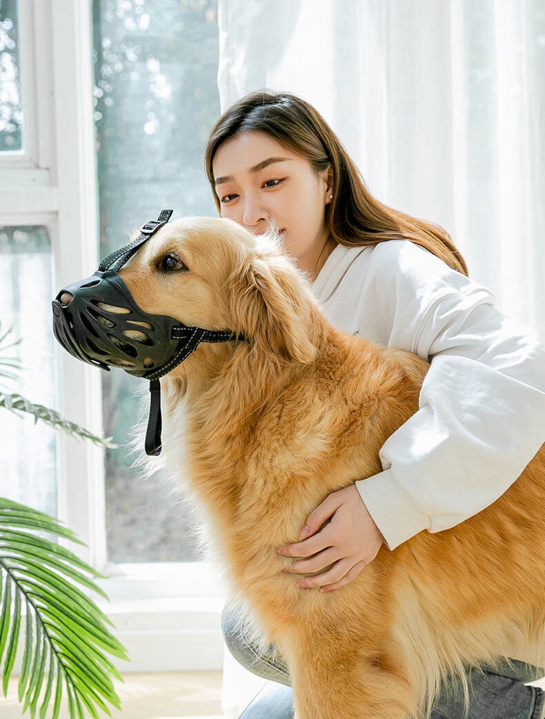 狗狗嘴套防咬叫乱吃金毛狗套口罩小型中型大型犬嘴罩狗罩宠物用品