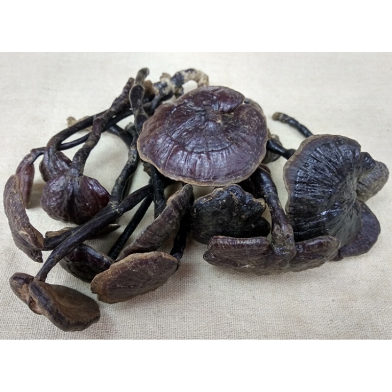 云南深山采摘天然长颈野生竹灵芝小红灵芝紫灵芝250g** 500g【图片