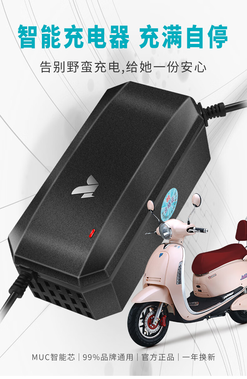 智能脈衝電動車超威電瓶充電器48v12ah20ah60v30a72伏新日愛瑪雅迪