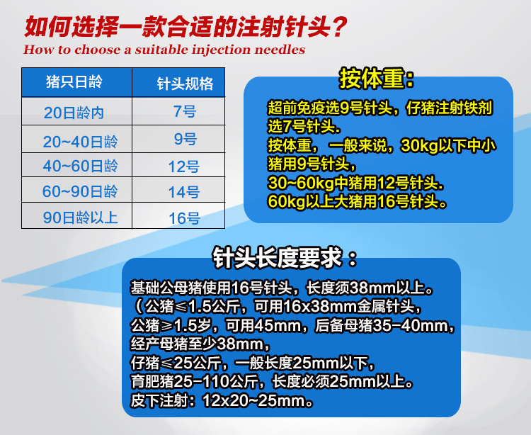 猪博士不锈钢针头兽用注射器针头兽用针头12根7号713