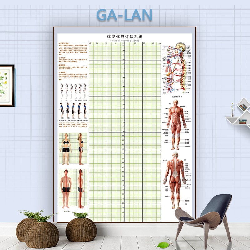 体态评估表墙贴健身房体测网格纸瑜伽馆私教姿势体位背景墙体姿图蓝