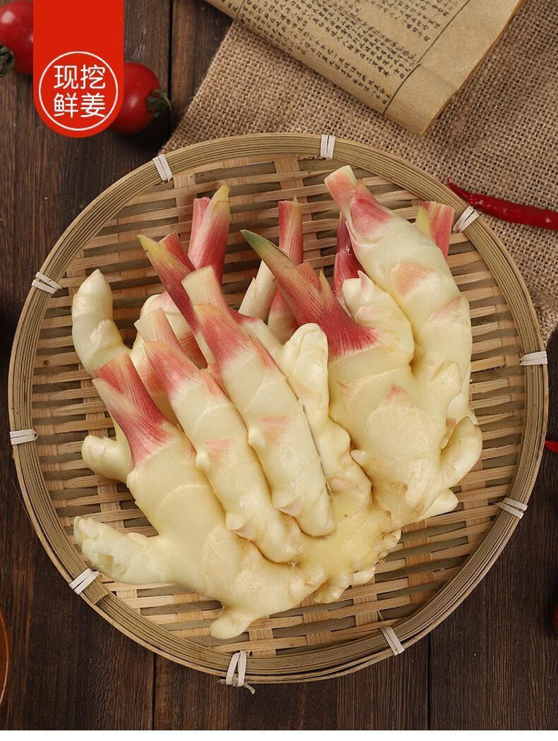 媚调 嫩姜新鲜仔姜生姜山东现挖子姜嫩姜牙鲜姜嫩姜牙腌制小黄姜云南