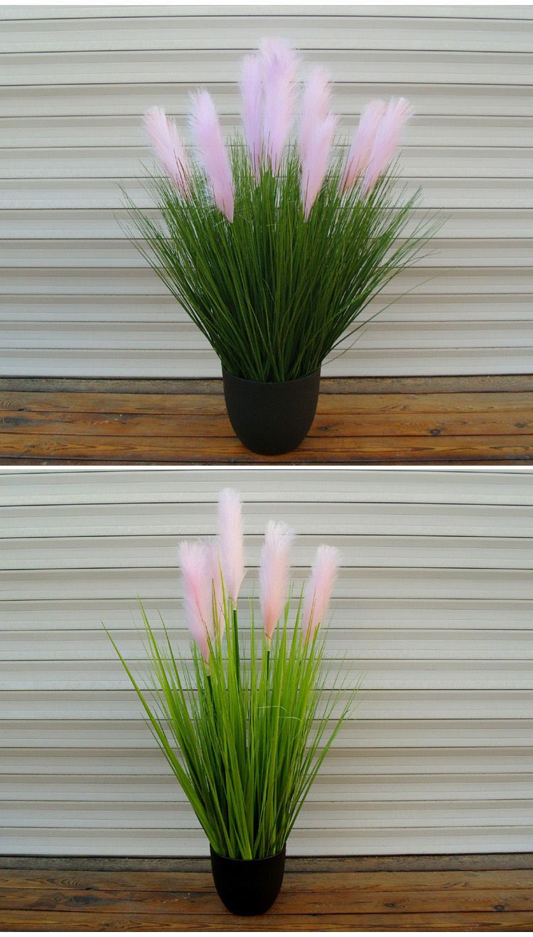 粉红色仿真芦苇草干花盆栽摆件客厅装饰假狗尾草落地橱窗摆设灰叶白