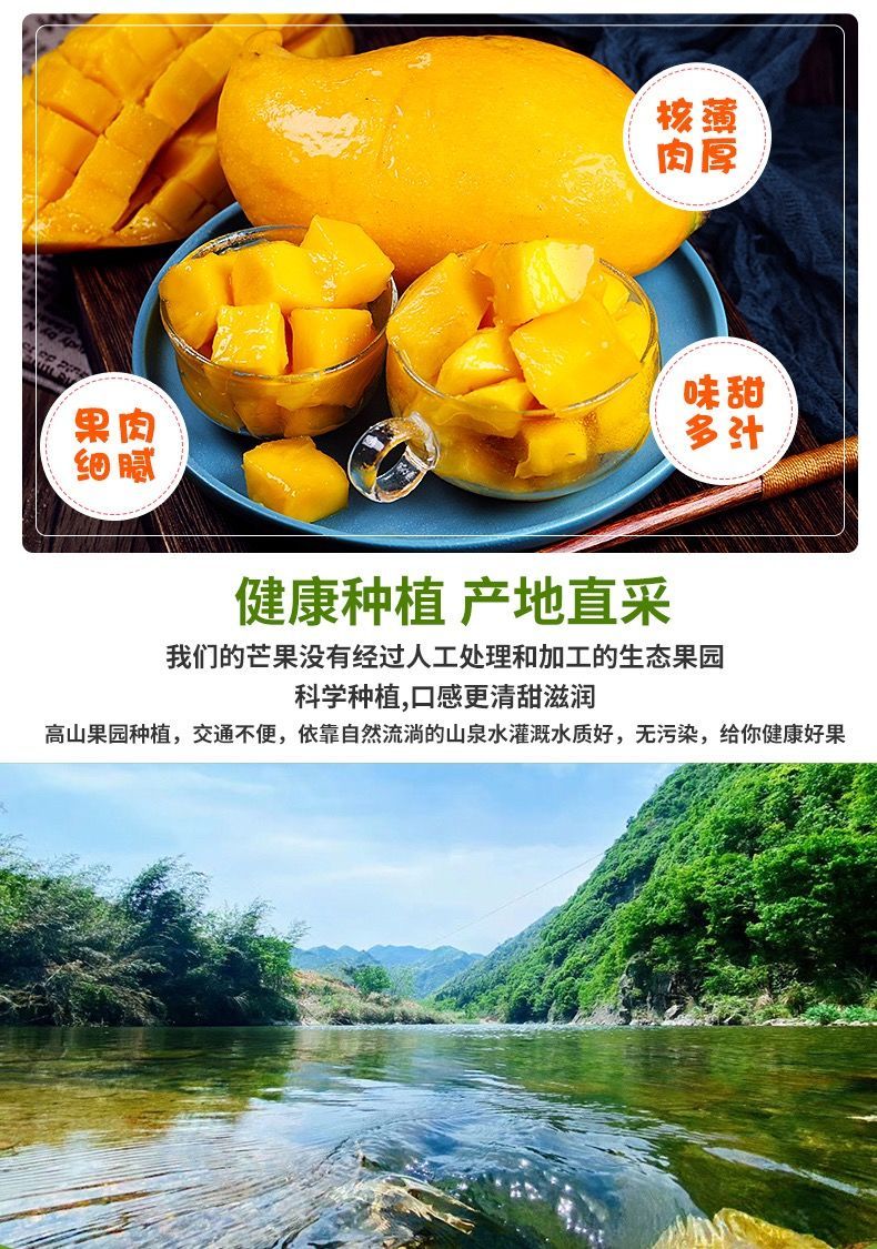 云南鹰嘴芒果新鲜热带水果自然熟新鲜芒果整箱芒果批发