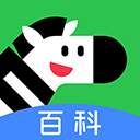 斑马百科
