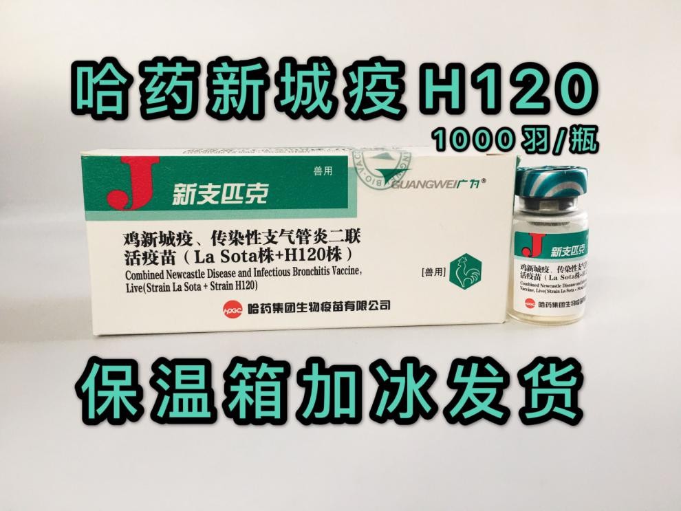 鸡新城疫传染性支气管炎h120二联活疫苗小鸡疫苗鸡瘟新支匹克 1瓶价一