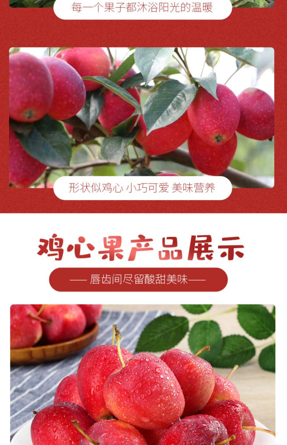 东北鸡心果整箱5斤新鲜当季水果海棠果红沙果酸甜特产小苹果 3斤 精选