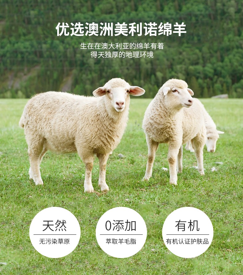 澳芝曼（G＆M）澳洲进口绵羊油保湿绵羊脂维生素E霜乳澳芝漫滋润面霜婴儿可用 保湿霜250g【1瓶】