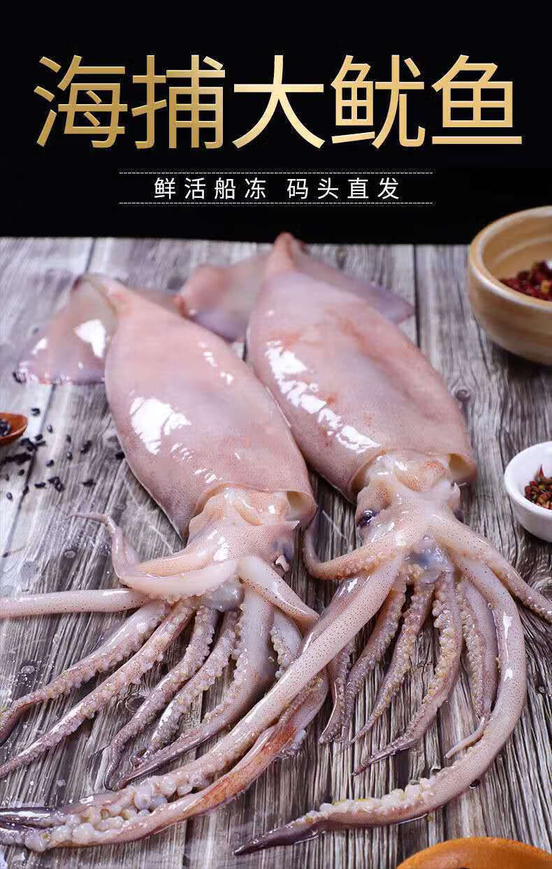 德薇格 大鱿鱼冻货整只新鲜冷冻鱿鱼批发火箭鱿鱼鲜鱿鱼鱿鱼须鱿鱼头