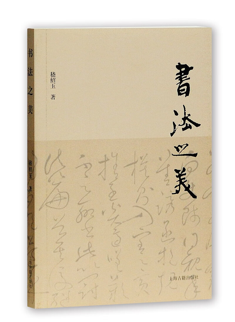 现货正版 上海古籍 书法之美 从思想史,美学史角度
