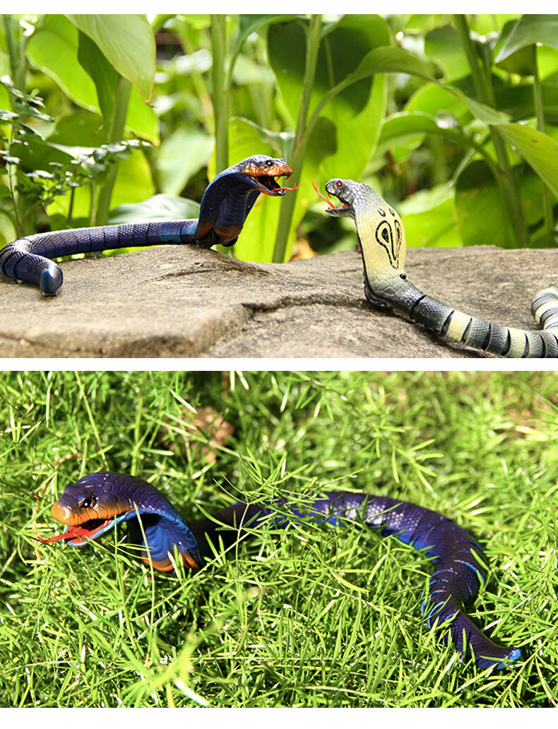 儿童仿真动物玩具电动遥控蛇玩具 动物模型 创意玩具 整人整蛊道具