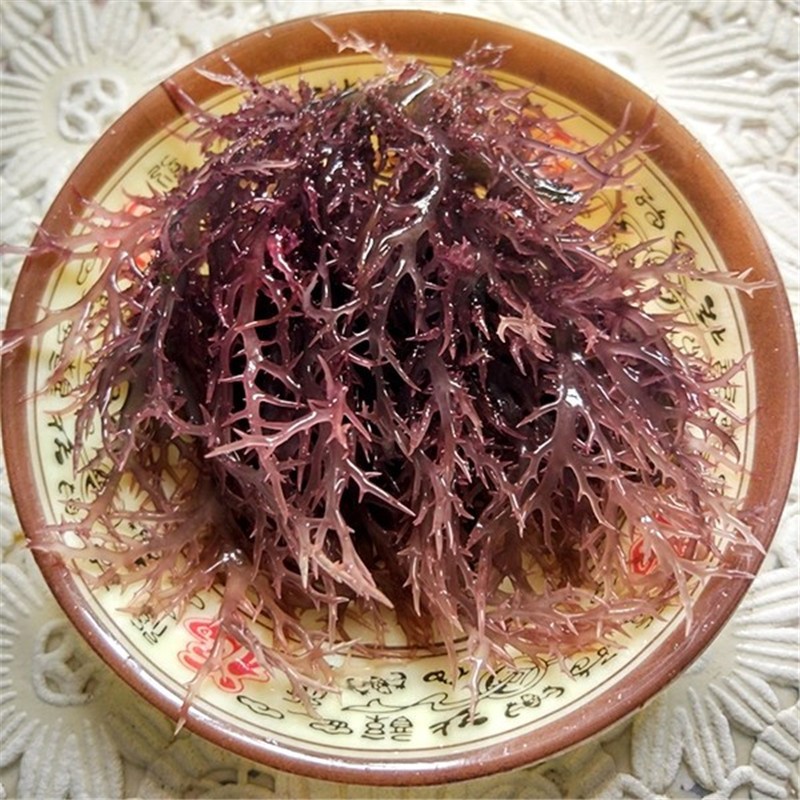 博多客 新晒冰藻 新鲜冰藻干货 凉拌菜 海草龙须菜 海藻石花菜 1000g