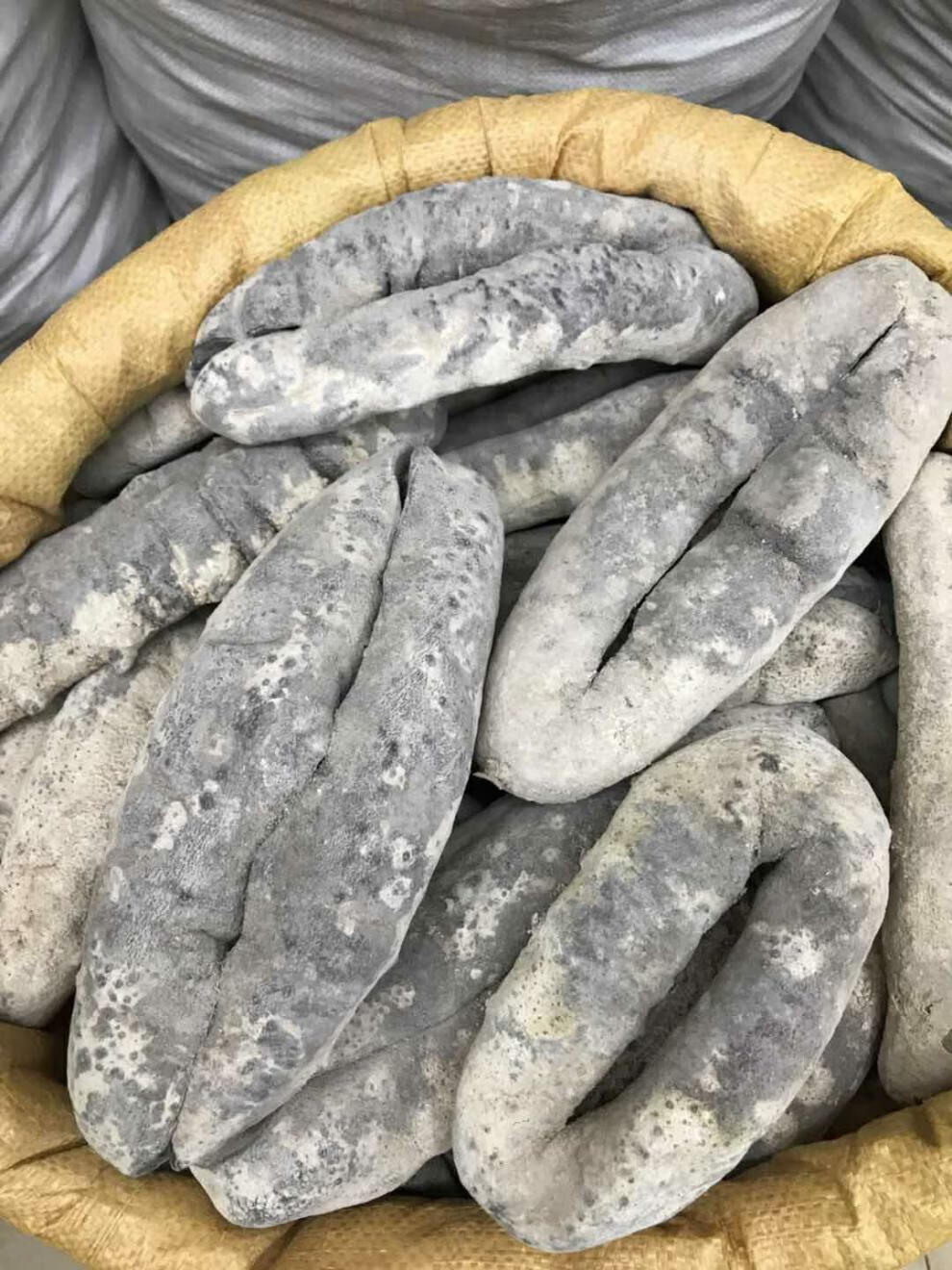 猪婆参 澳洲非州南美洲野生海参 特级白石参 淡干货 酒店供应.