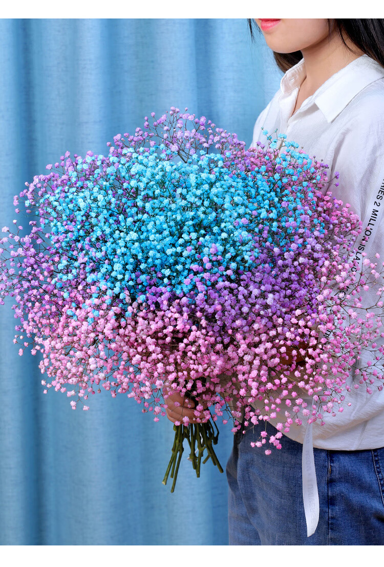 iman) 满天星干花花束家居摆设天然风干真花客厅卧室装饰摆件不带瓶纯