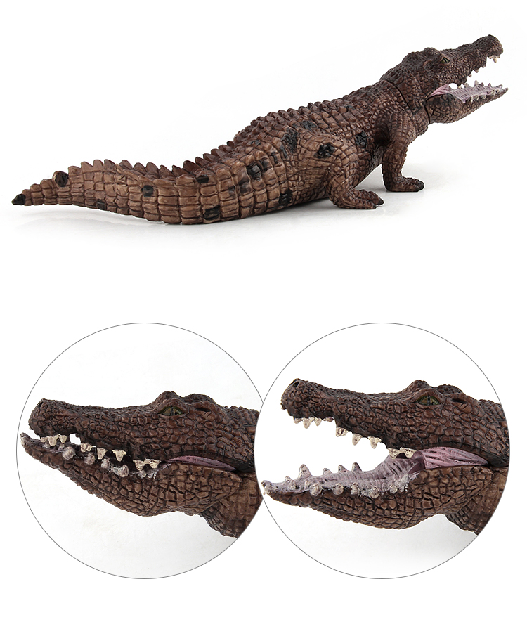 扬子鳄鱼摆件 儿童玩具鳄鱼模型塑胶大号实心爬行动物玩具仿真尼罗
