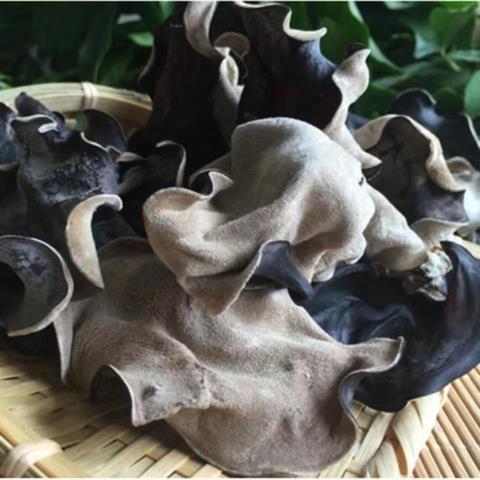 白背毛木耳干货批发黑木耳特产野生正宗脆木耳大木耳饭店食材 毛木耳