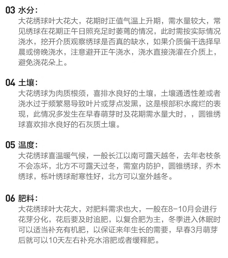 虹越 绣球花盆栽苗经典系列塞布丽娜 史欧尼 蓝色妈妈等多品种绣球花苗雪球2加仑 图片价格品牌报价 京东