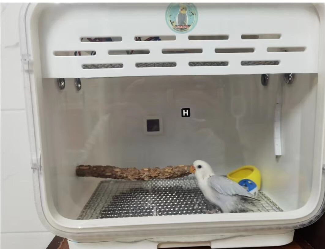 手养鹦鹉玄凤虎皮牡丹活体雏鸟雏鸡鸽子保温育雏箱鸟保温箱饲养箱宠物