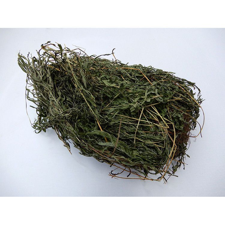 野生凤尾草鸡脚草金鸡尾井栏草五指草凤凰草鸡爪草凤尾蕨 野生凤尾草