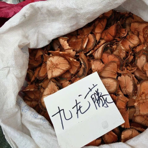 北京同仁原材料 中药材 野生九龙藤 过岗龙 龙须藤 九龙根 入骨丹 过