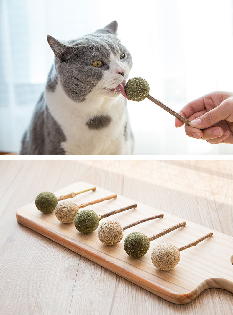 妙医世家猫薄荷棒棒糖木天蓼棒逗猫棒布偶猫咪零食加菲洁齿猫薄荷羽毛