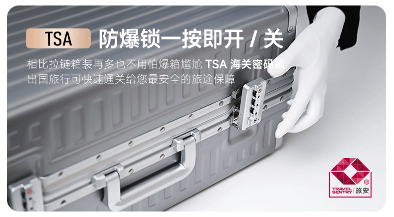 ROAMING Aluminum Frame Suitcase, Large Capacity Luggage for Men And Women, Travel Case with Password Lock, Space Silver, 28 Inches 11