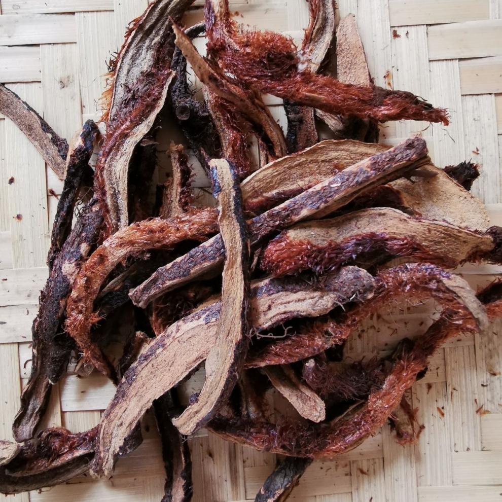 野生骨碎补散装鲜活食用爬岩姜猴姜煲汤泡酒新鲜生中草药材 干骨碎补