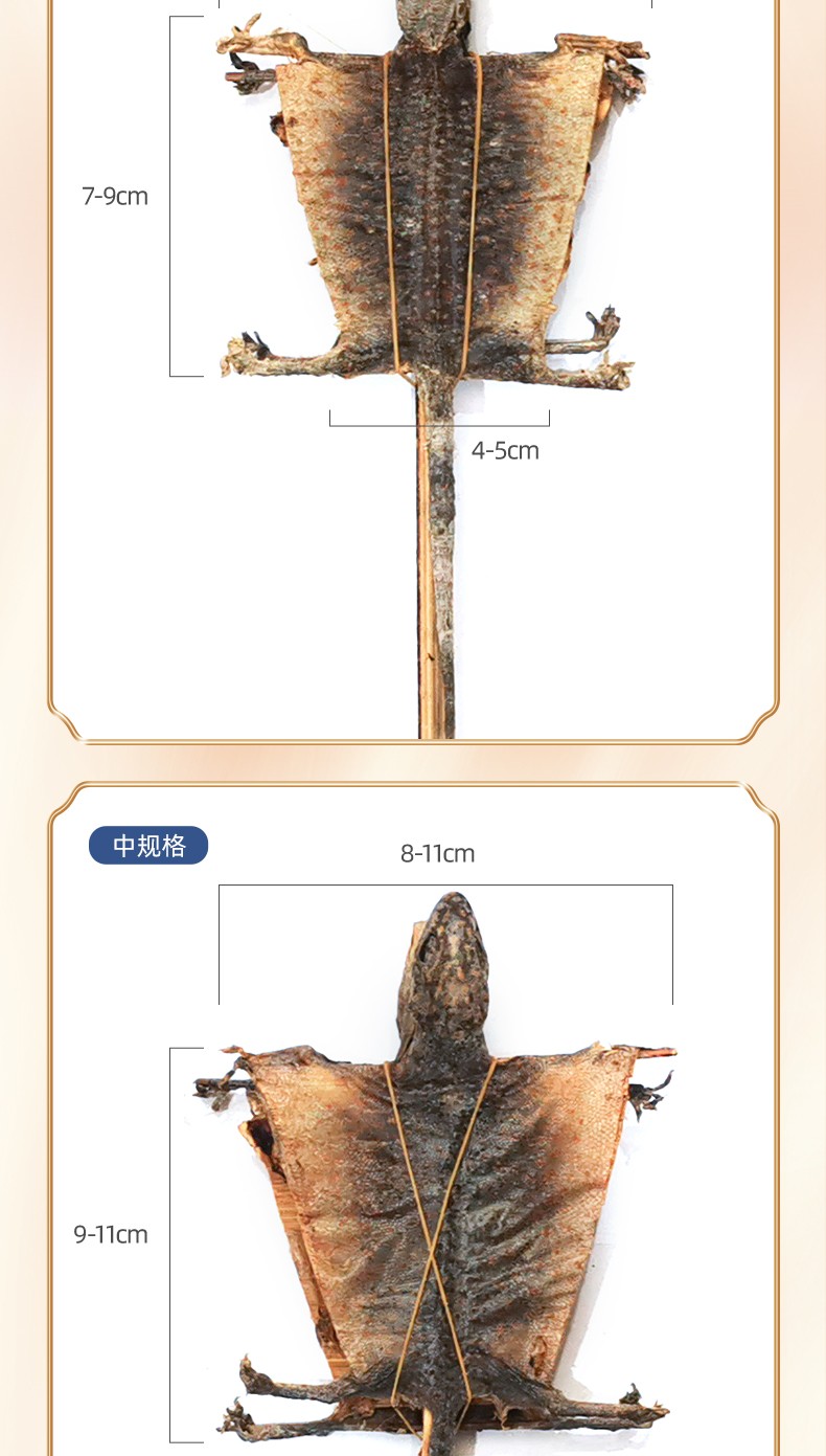 蛤蚧干货 公母蛤蚧一对 泡酒煲汤 中药材蛤蚧干 补肺益肾助阳益精用于