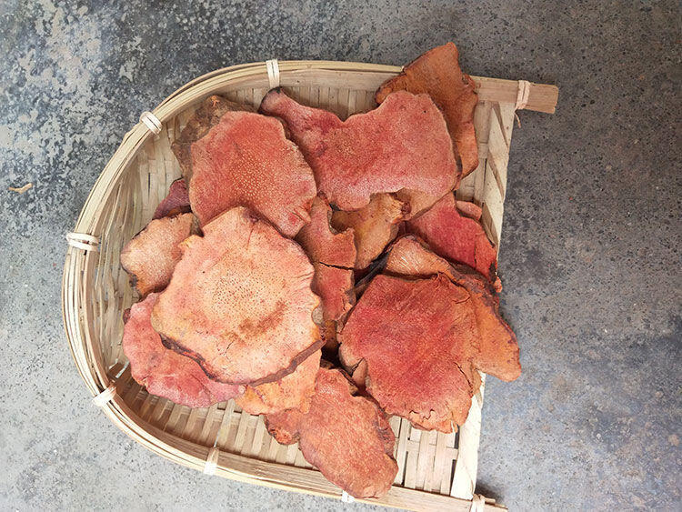 红土茯苓广西深山野生中药材晒干无硫5年老土茯苓 500克(粉)【图片