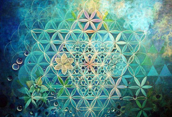 生命之花flower Of Life Anna Alchemy