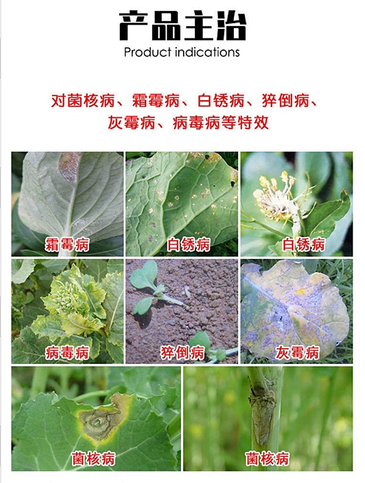油菜专用杀菌剂霜霉病白锈病菌核病白粉黑斑病黑腐病