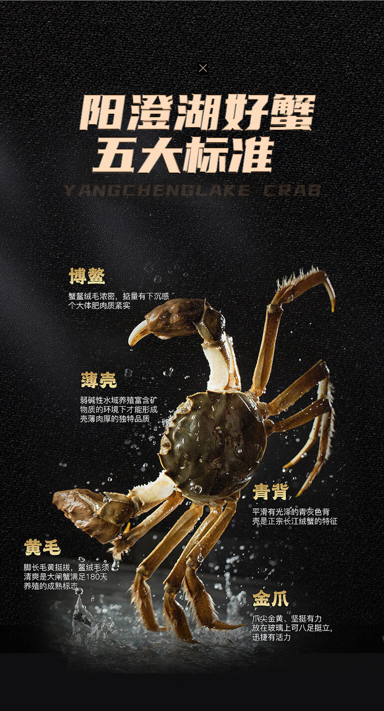 2edc38abf4e67bb5.jpg