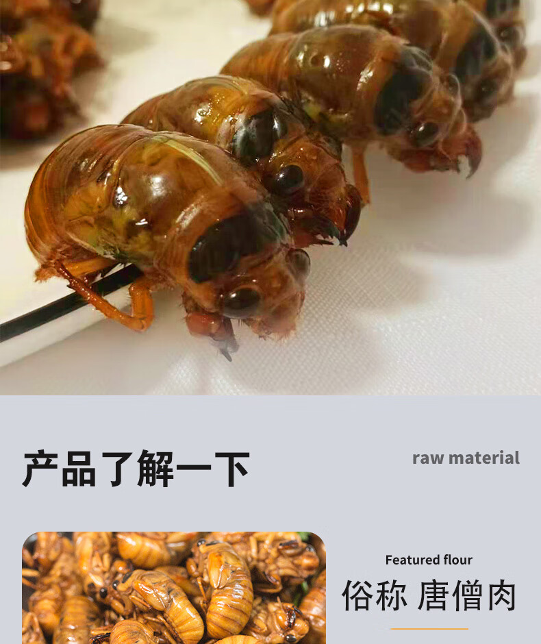 2022新品大 个肉知了猴金蝉节流龟唐生肉爬叉猴新鲜冷冻100只 100只